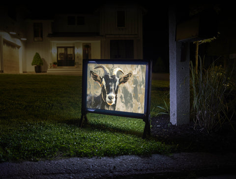 Goat's Eye Portrait Animal Yard Sign