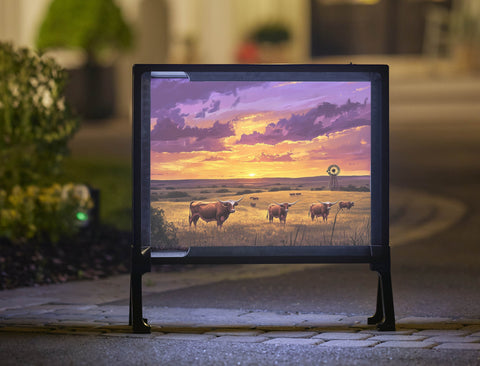 Longhorns At Sunset Yard Sign