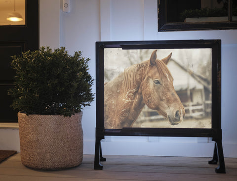 Horse In The Pen Animal Yard Sign