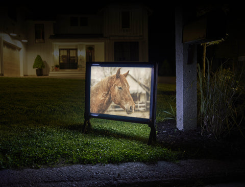 Horse In The Pen Animal Yard Sign