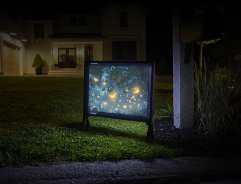 Firefly Visions Night Sky Yard Sign