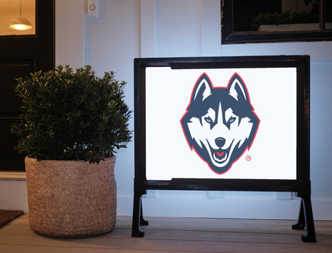 Huskies Color Block UConn Yard Sign