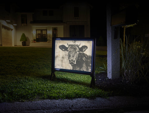 Cow Print Animal Yard Sign