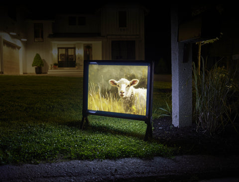 Sheep In The Fields Animal Yard Sign