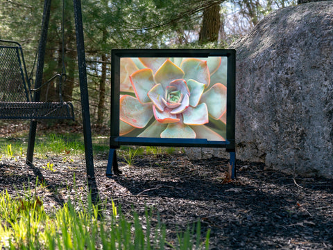 Colorful Succulent Cactus Yard Sign