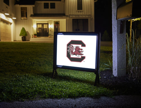 South Carolina C Cocky Yard Sign White