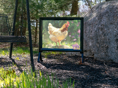 This Chicken Means Business Yard Sign